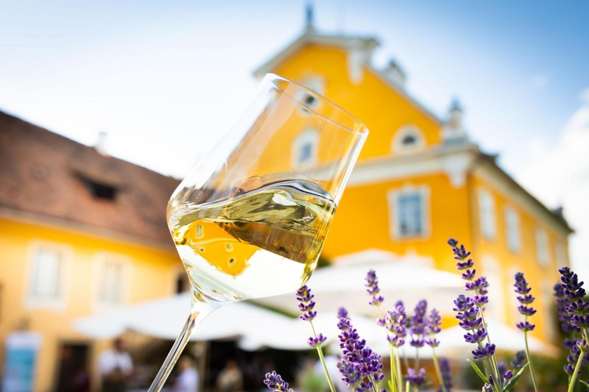 Schloss Gamlitz Kültér fotó
